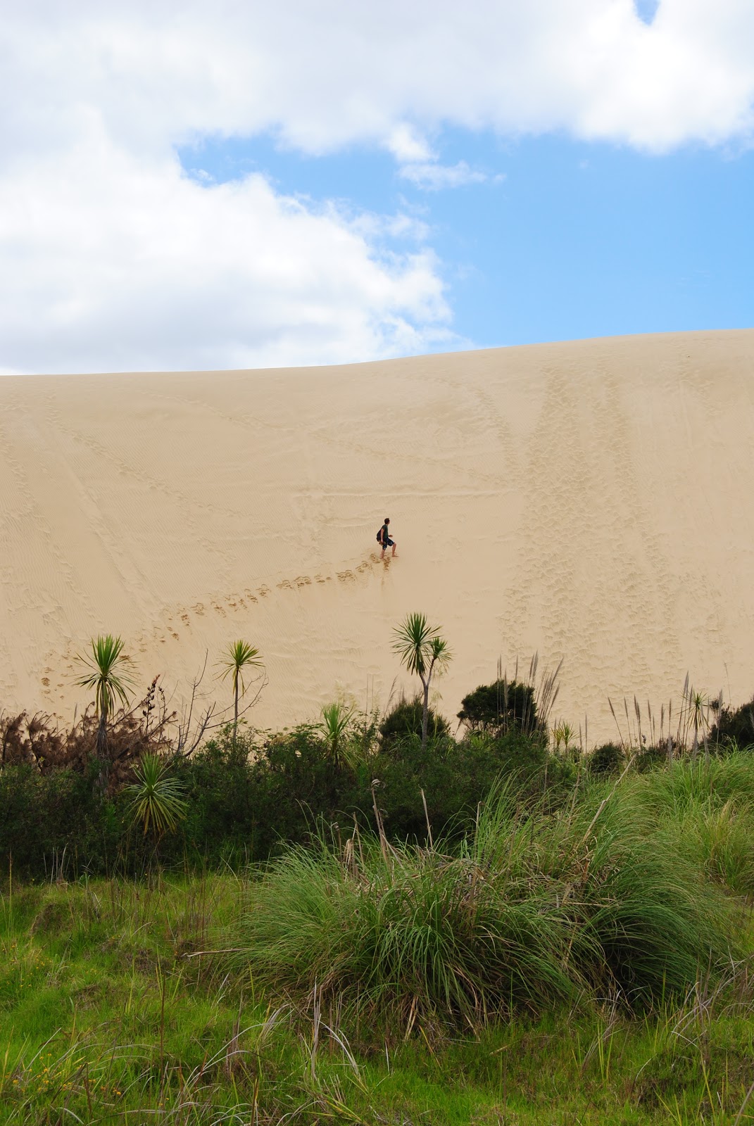 Hello NZ: Te Paki - Giant Sand Dunes (04/01)