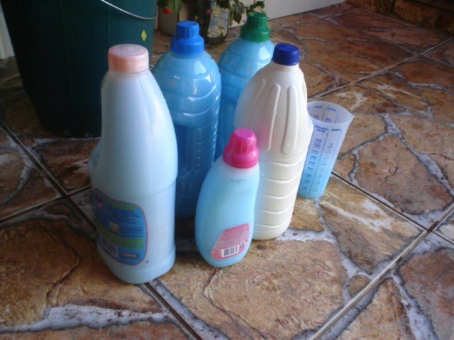 [DSC00561.JPG]