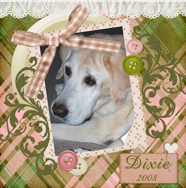 Dixie button