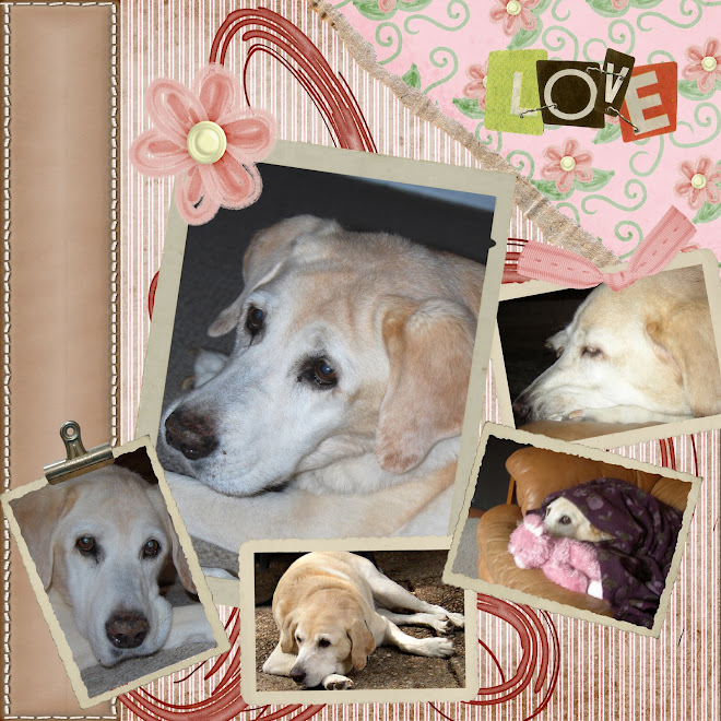 Dixie love