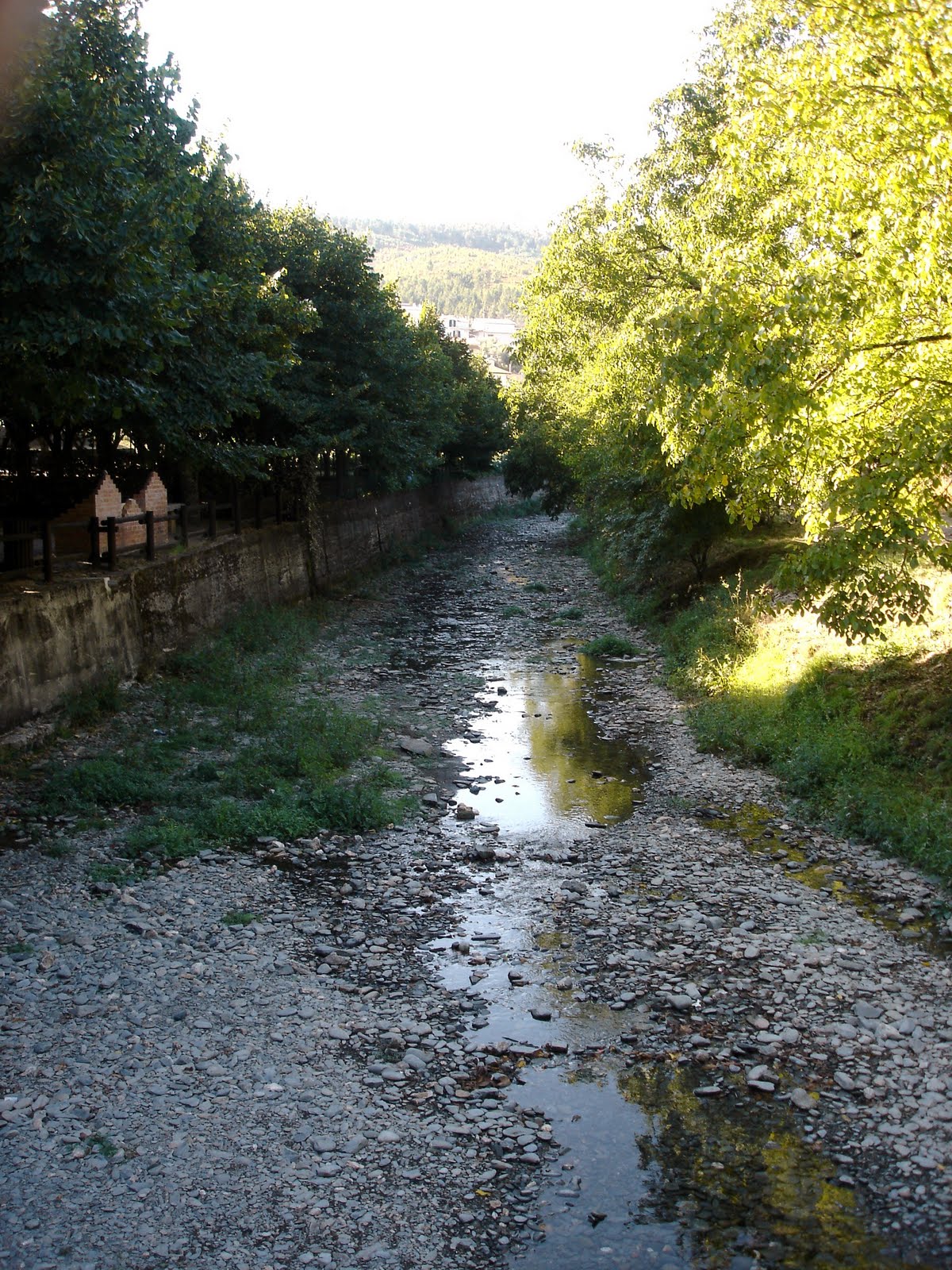 [DSC00753.JPG]