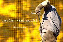 Carla Vannucchi  .  Fotografia