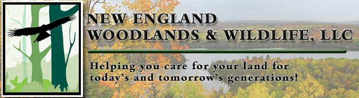 New England Woodlands & Wildlife, LLC