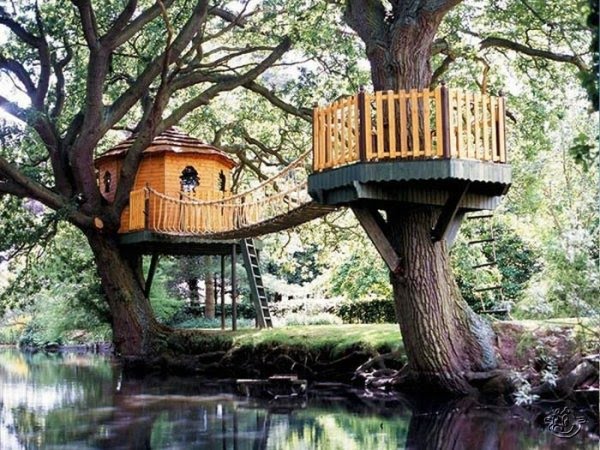 lol tree house