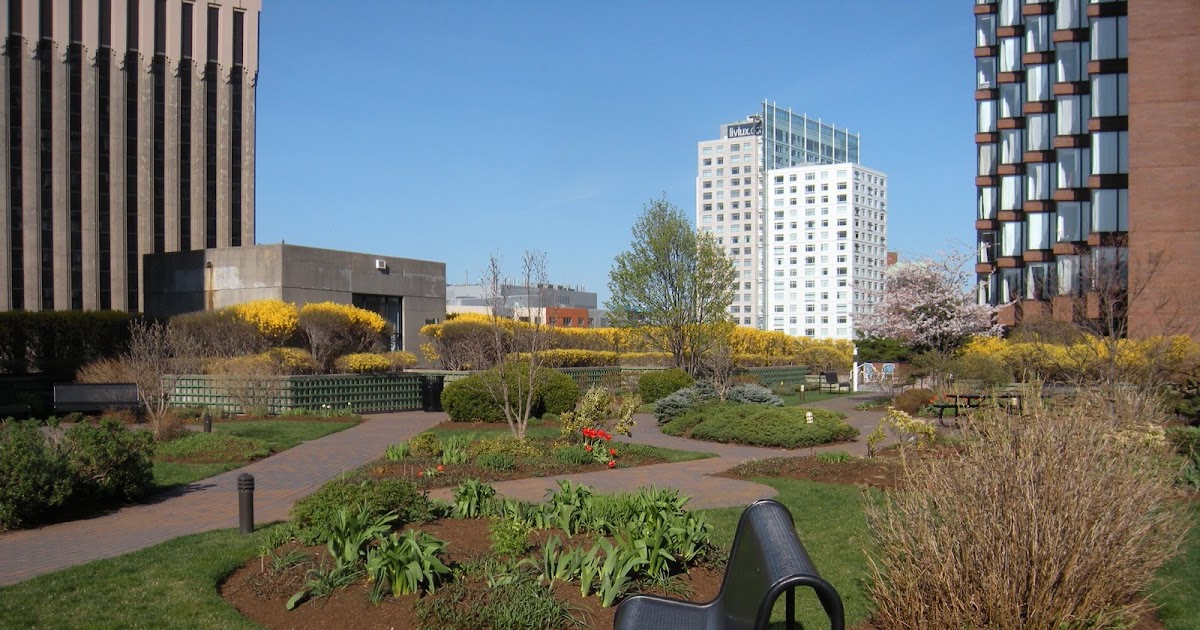 Boston's Cool Spots Kendall Square Rooftop Garden