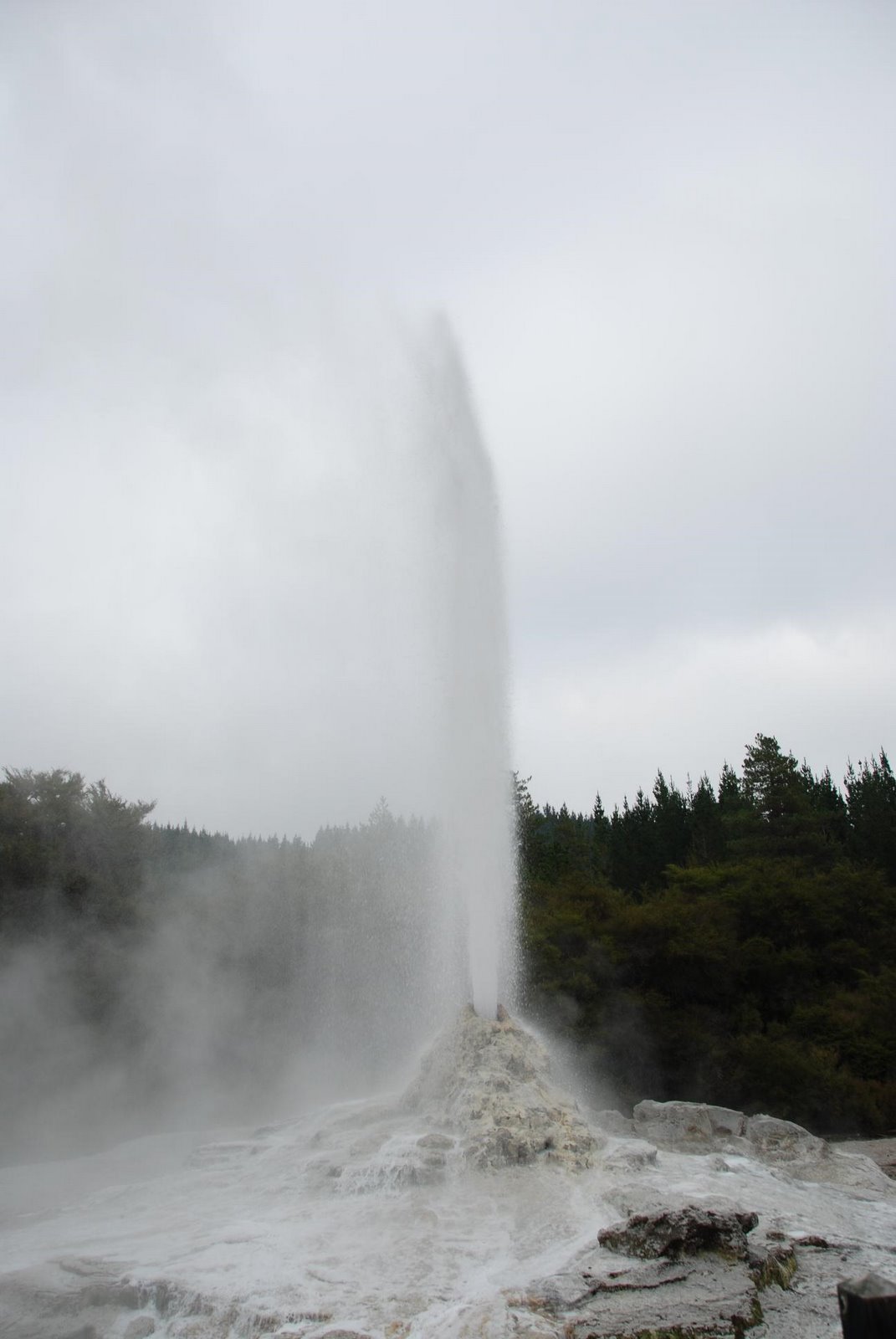 [DSC_7263.JPG]