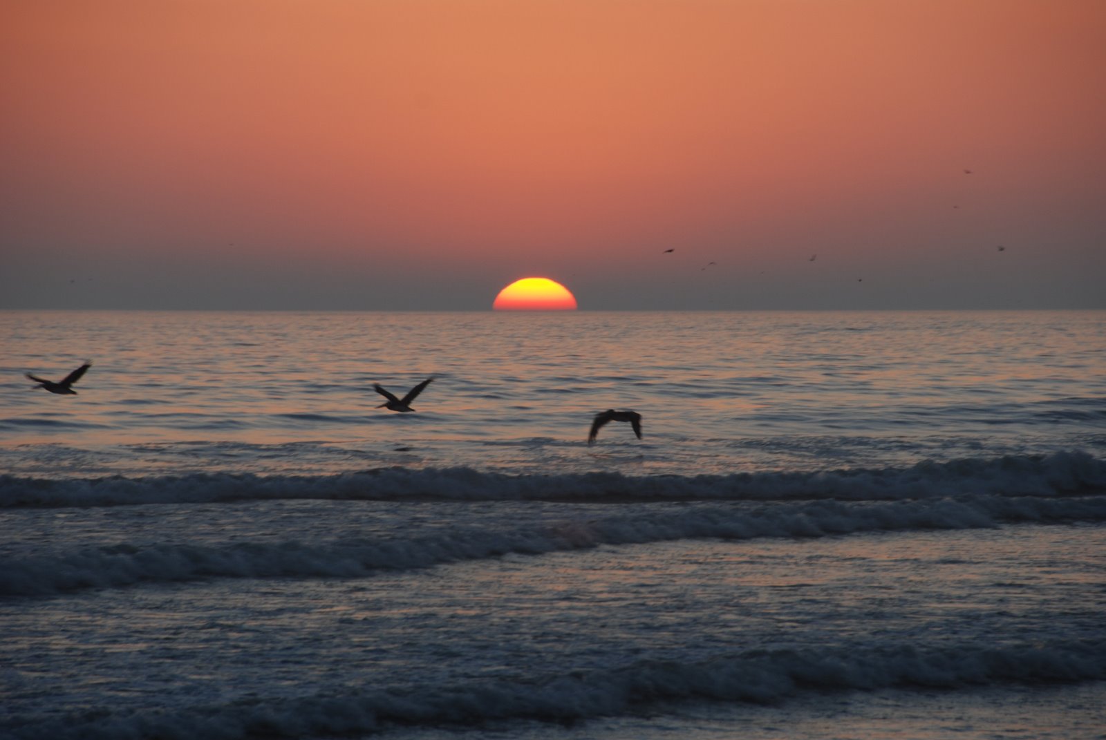 [DSC_9341.JPG]