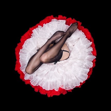 [darylbanksphotog.jpg]