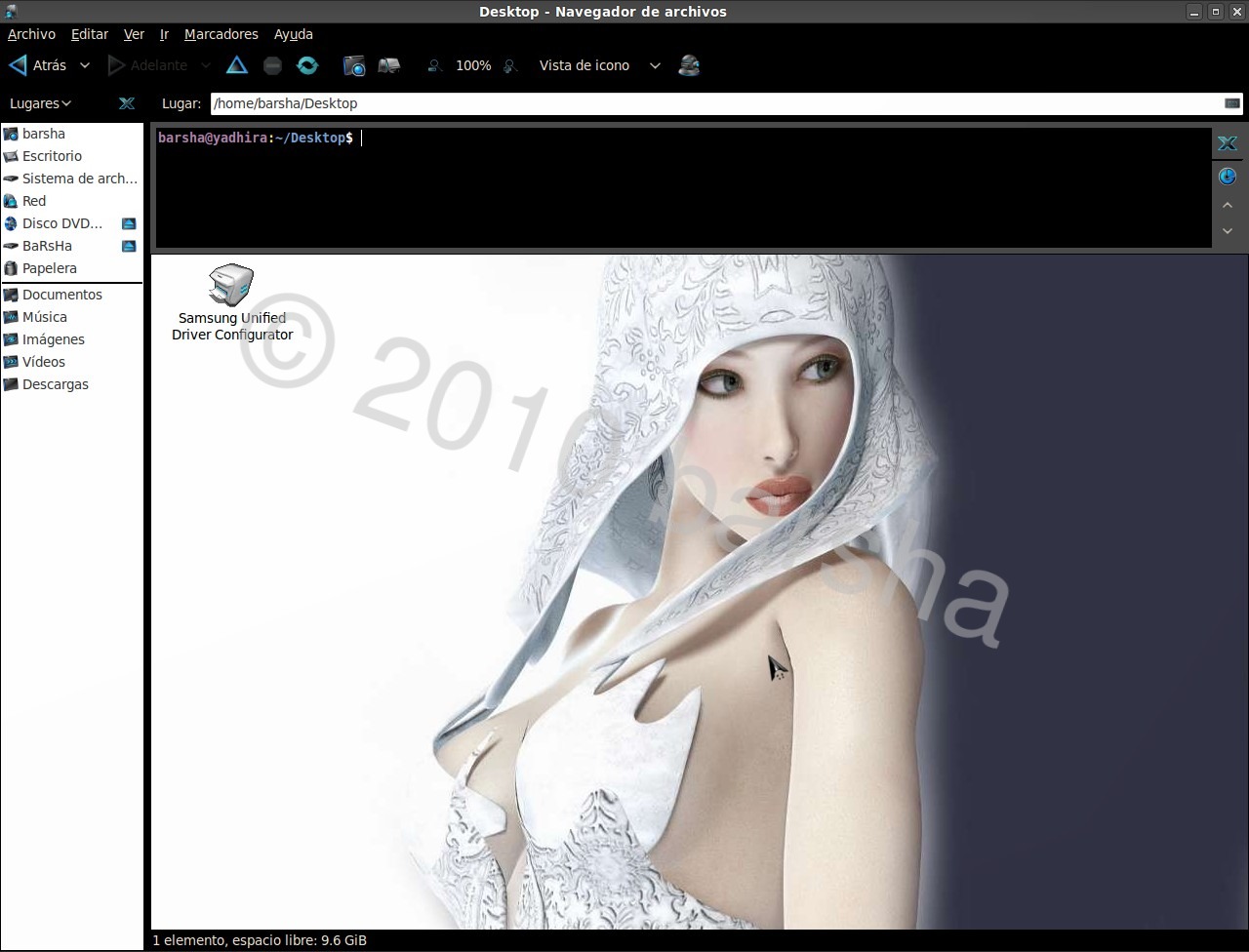 Nautilus Terminal Ubuntu