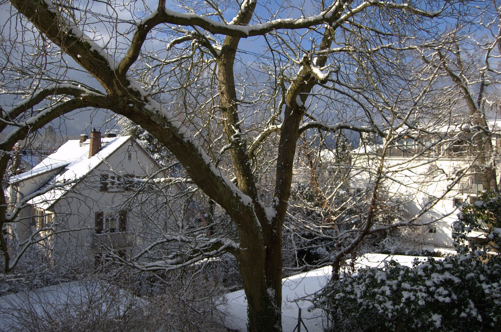 [DSC_4316.jpg]
