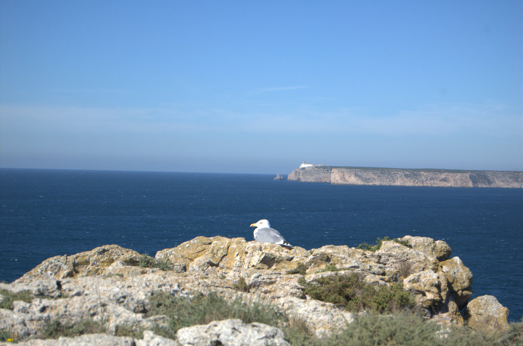 [DSC_1591.jpg]