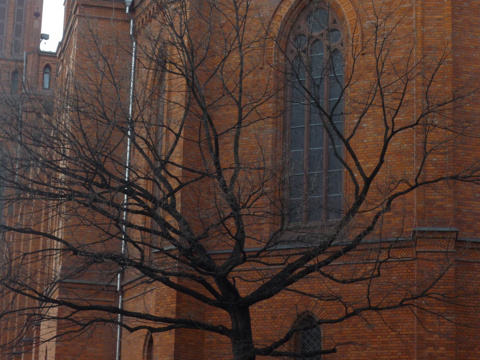 [P1010444.JPG]