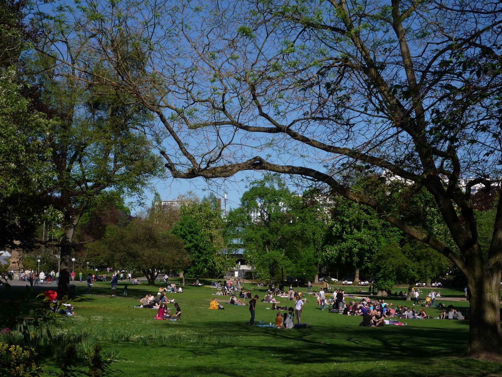 [P1010520.JPG]