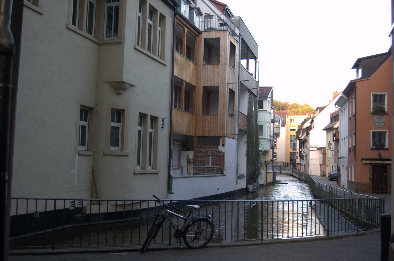 [DSC_2957.jpg]