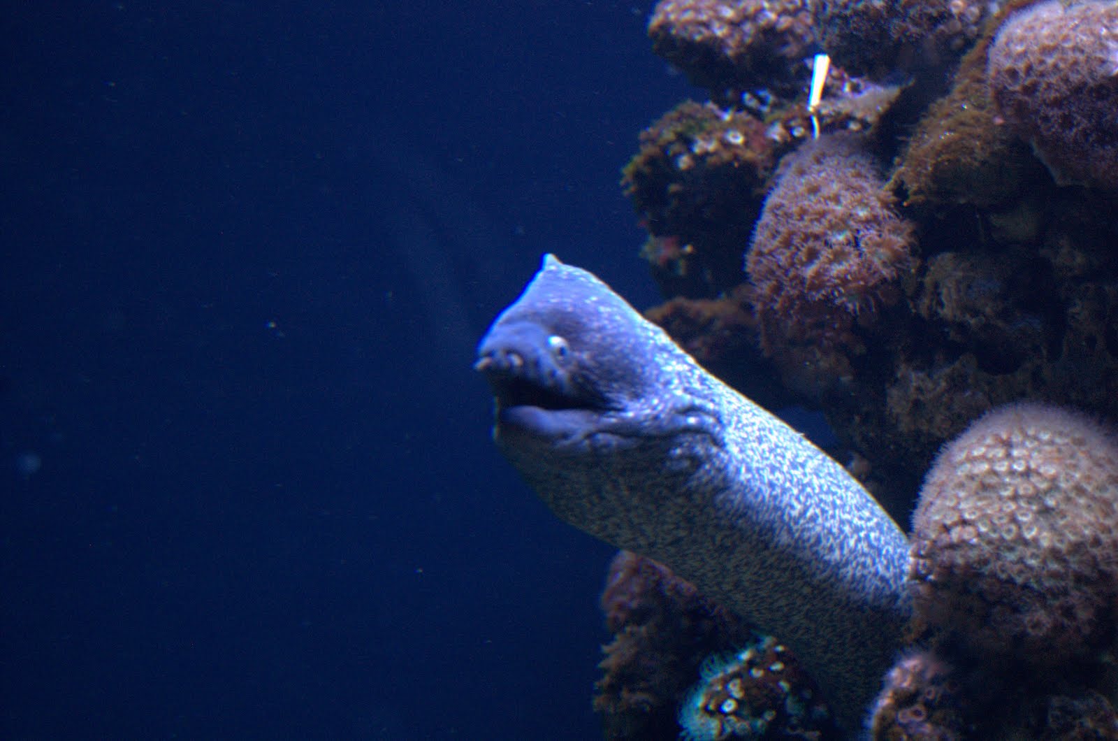 [DSC_3200.jpg]