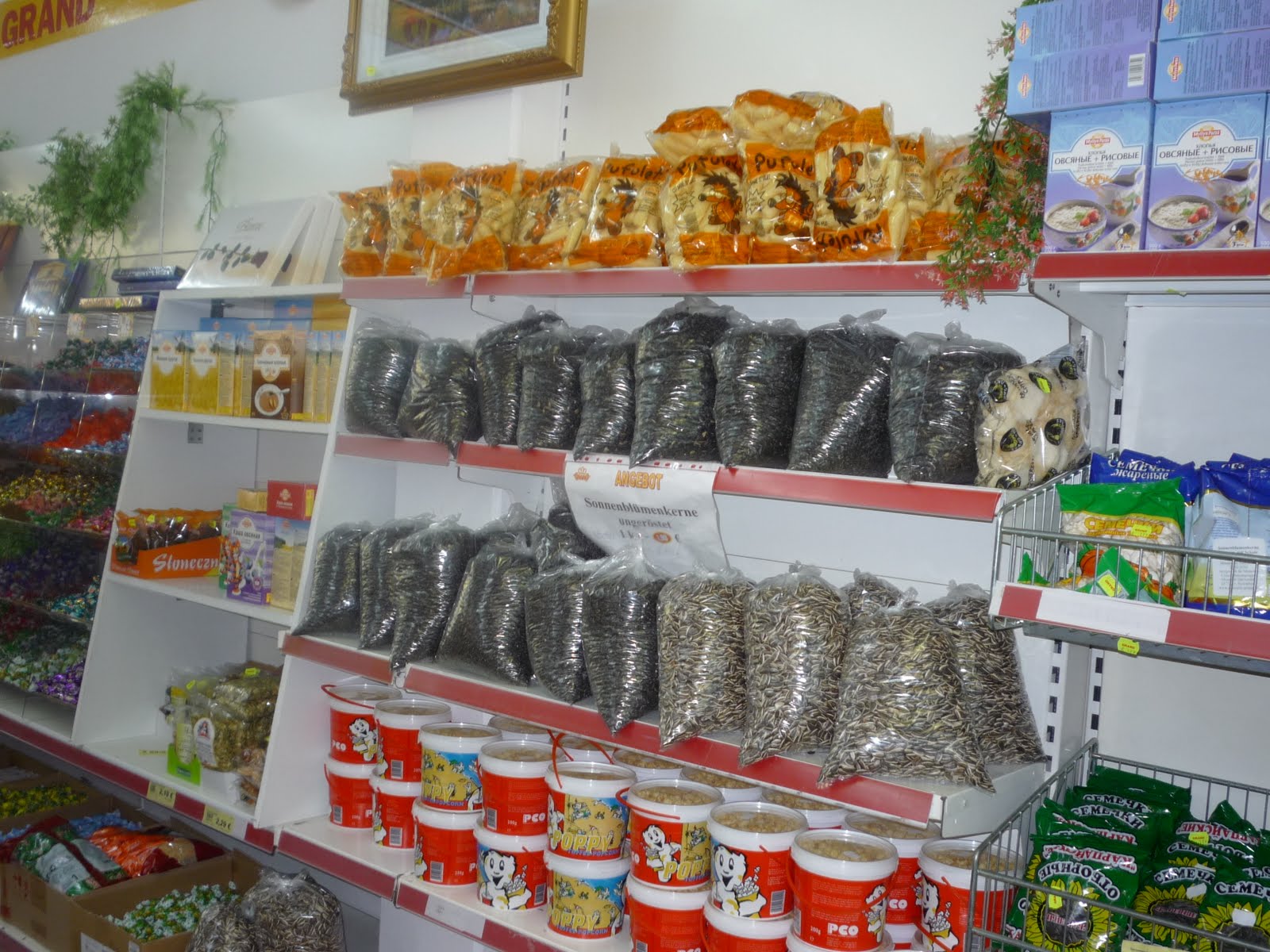 [P1010833.JPG]