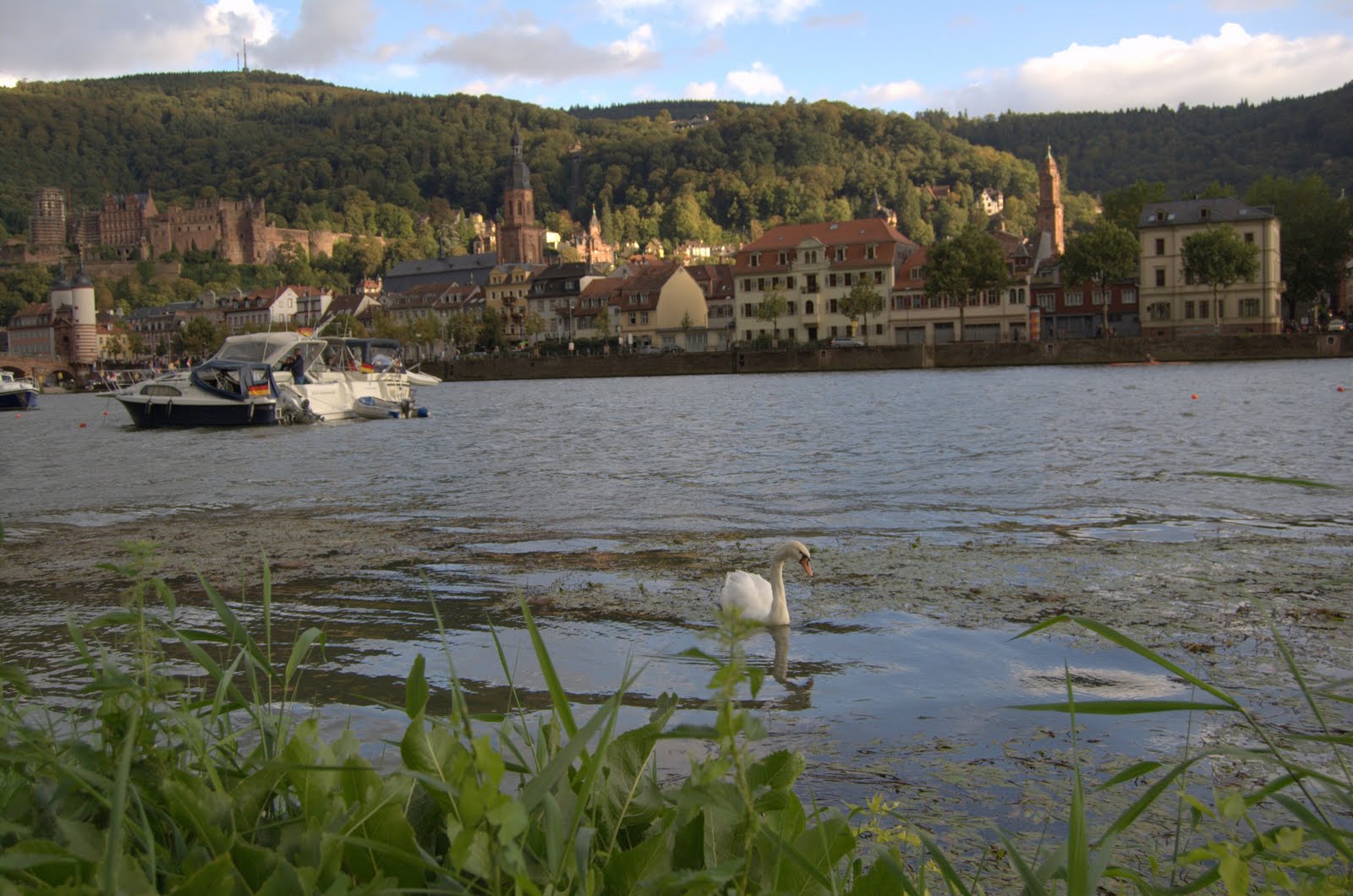 [DSC_3638-.jpg]