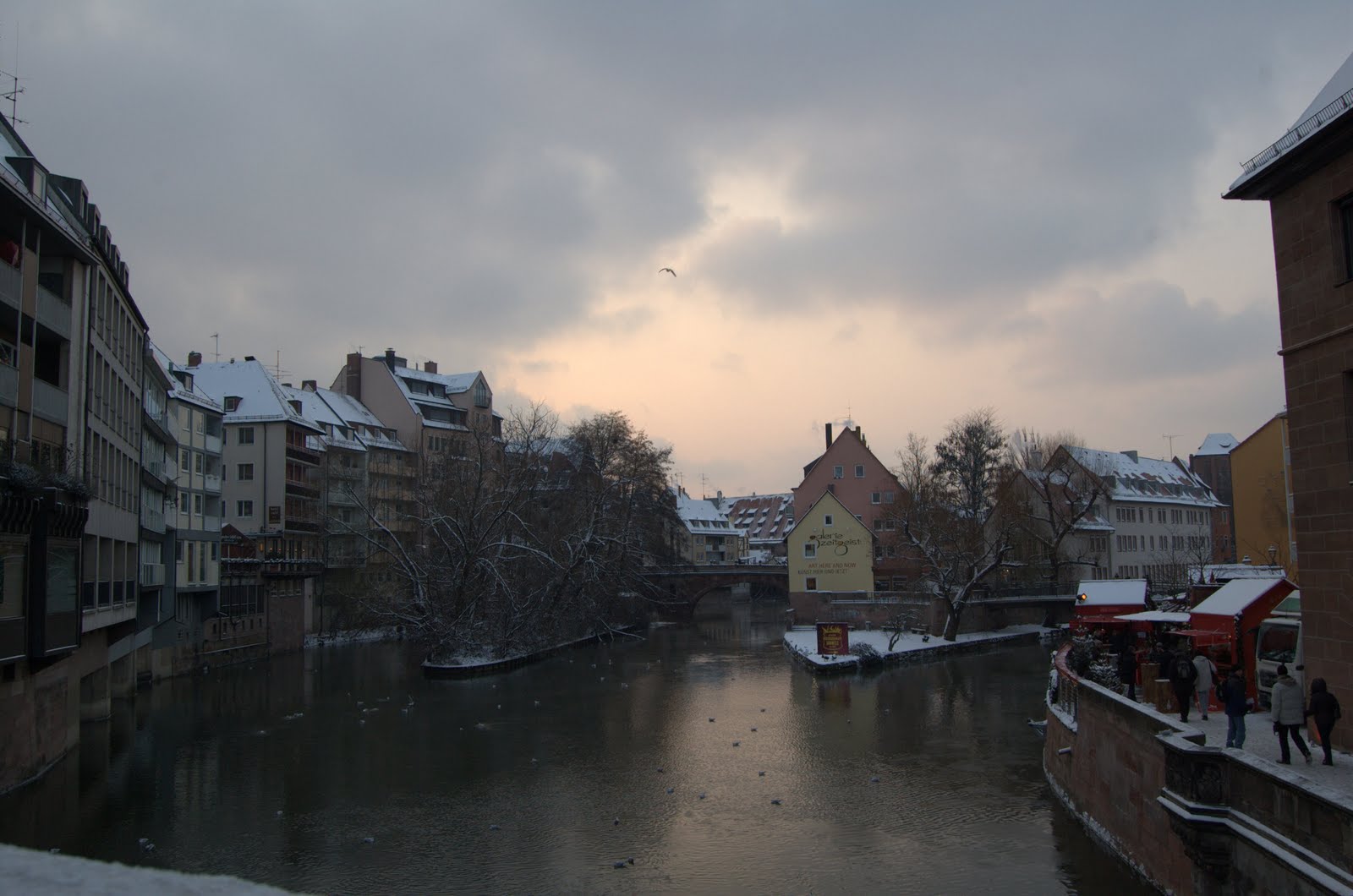 [DSC_4162.jpg]