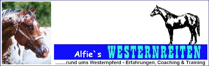 Westernreiten mit Alfie Schütz