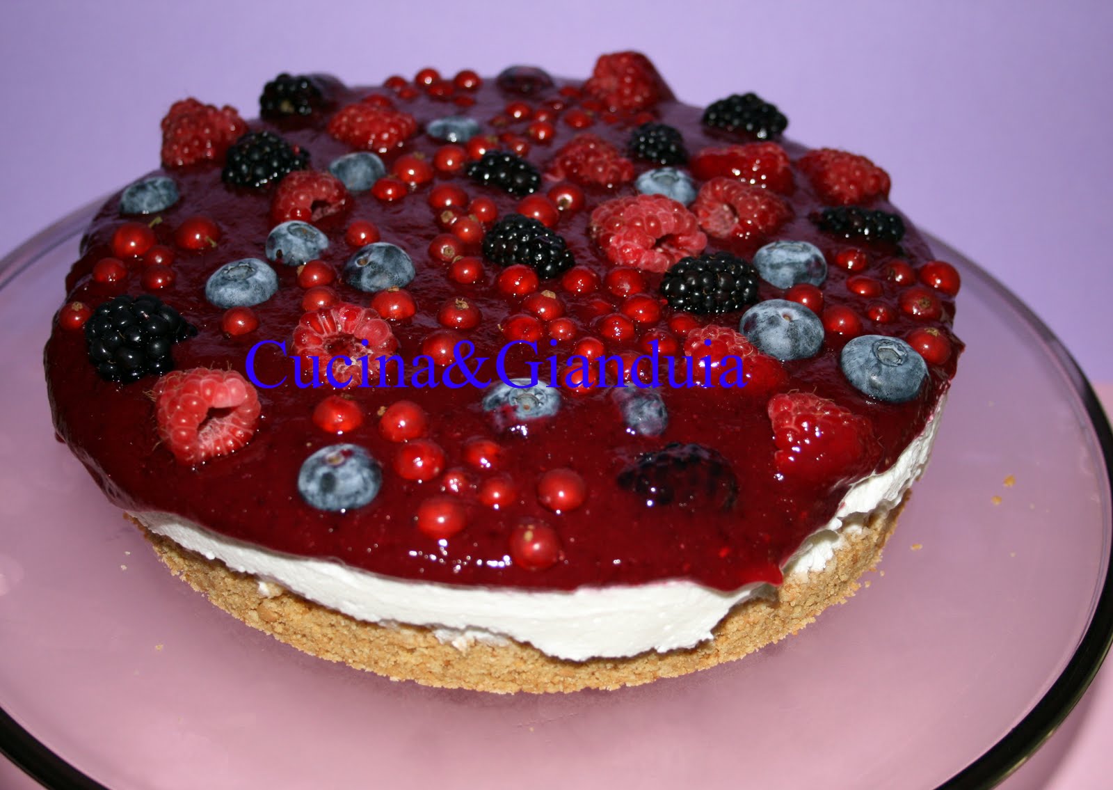 Cucina&Gianduia Cheesecake con bavarese allo yogurt e salsa ai frutti