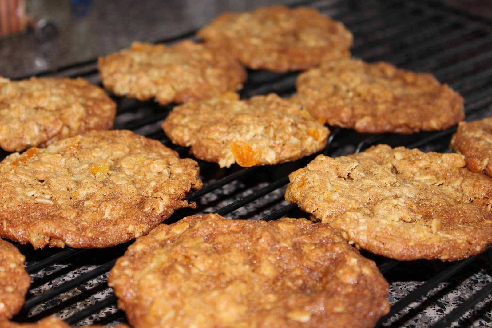 Green Mittens Fresh Baked Apricot Oatmeal Cookies
