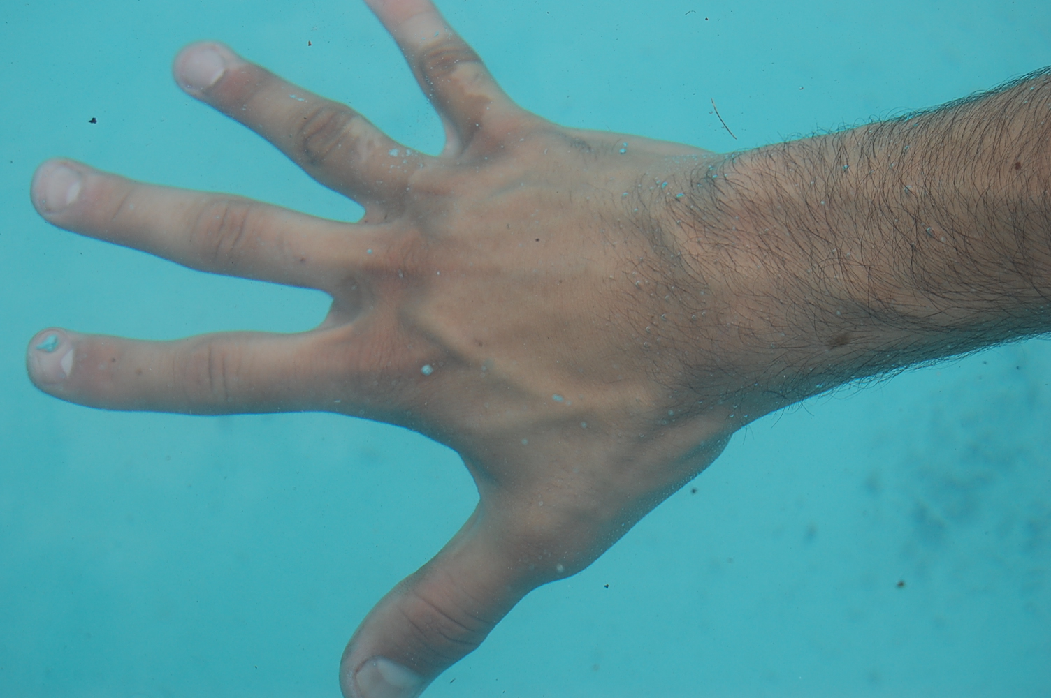 [DSC_0564.JPG]