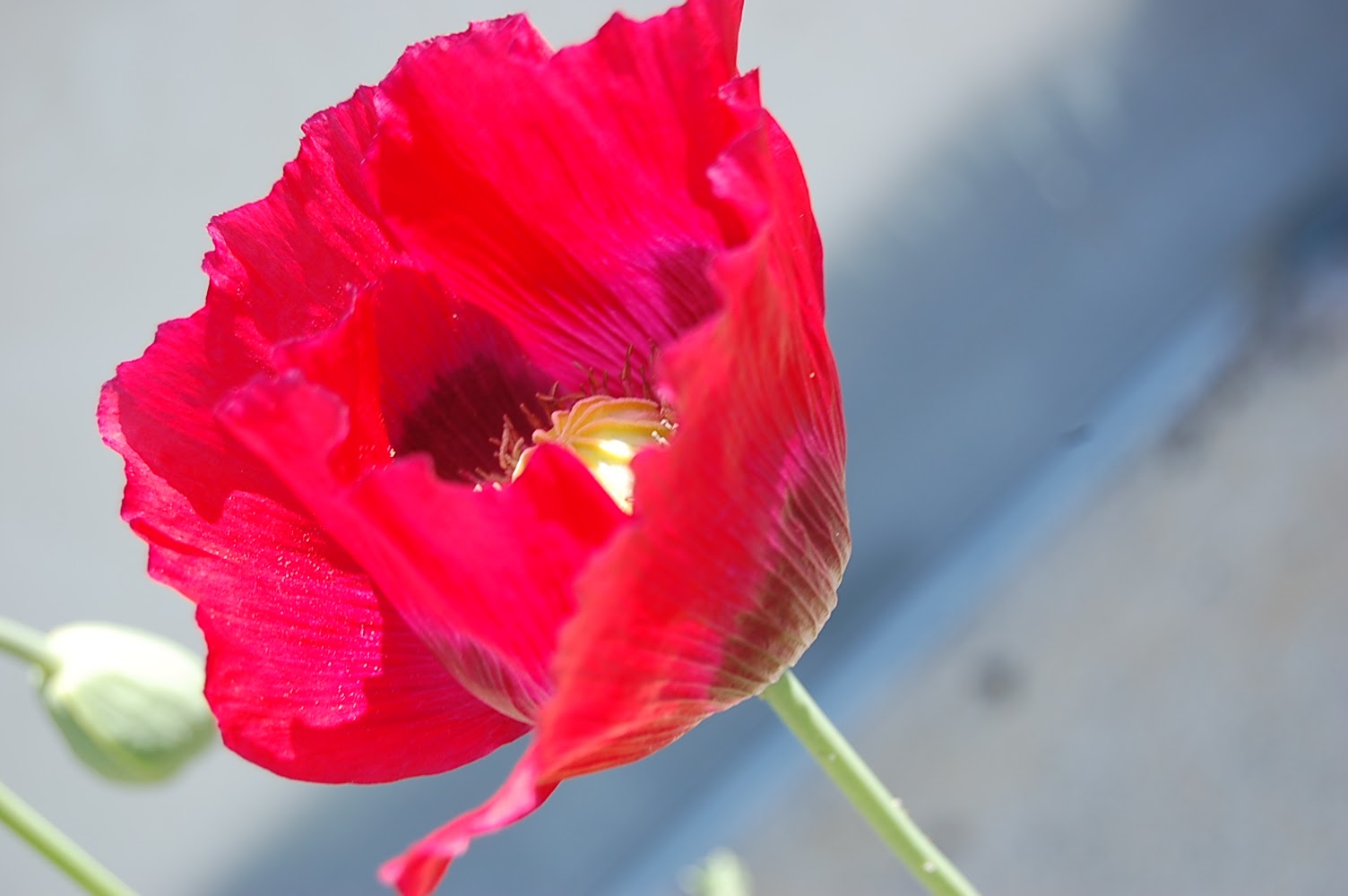 [DSC_1227.JPG]