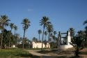 les maisons "menzil" entre les palmiers