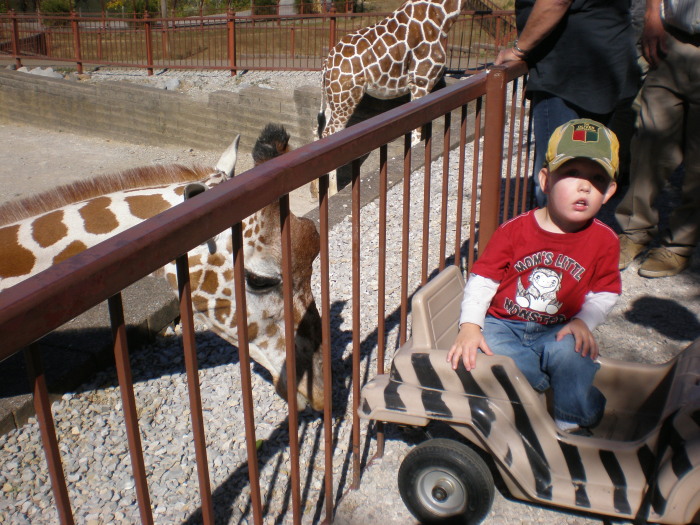 DR. Bergman Evansville's Mesker Park Zoo