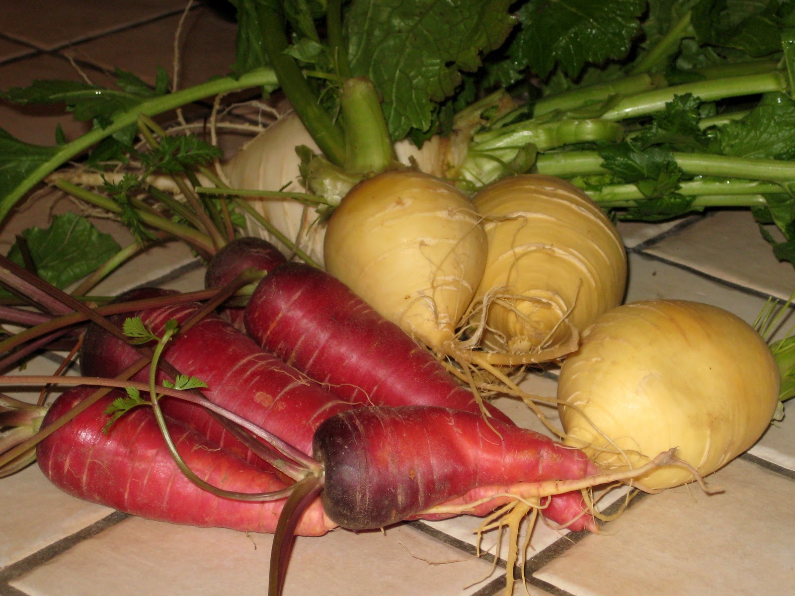 Cook Food. Mostly Plants. Roasted Yellow Turnips and Red Carrots