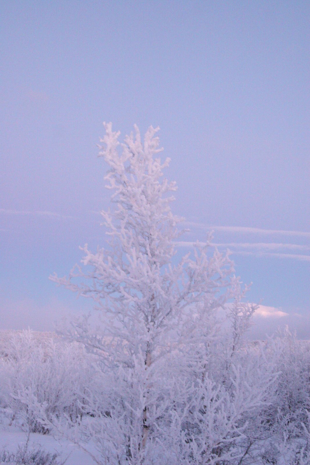 [IMG_6575.JPG]