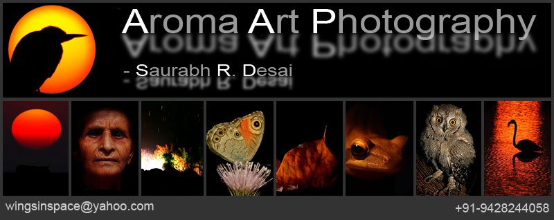 Aroma Art Photography - Saurabh R. Desai