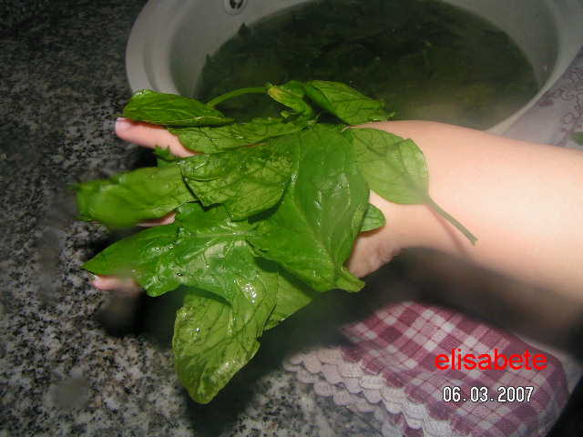 [PICT0161.JPG]