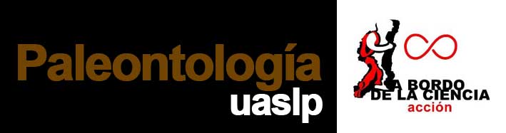 Paleontología UASLP
