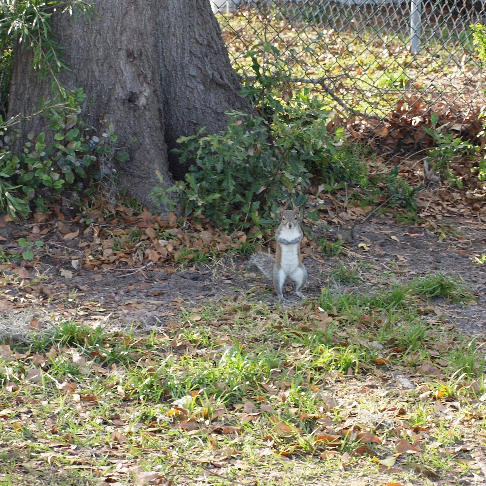 [P3142031.JPG]