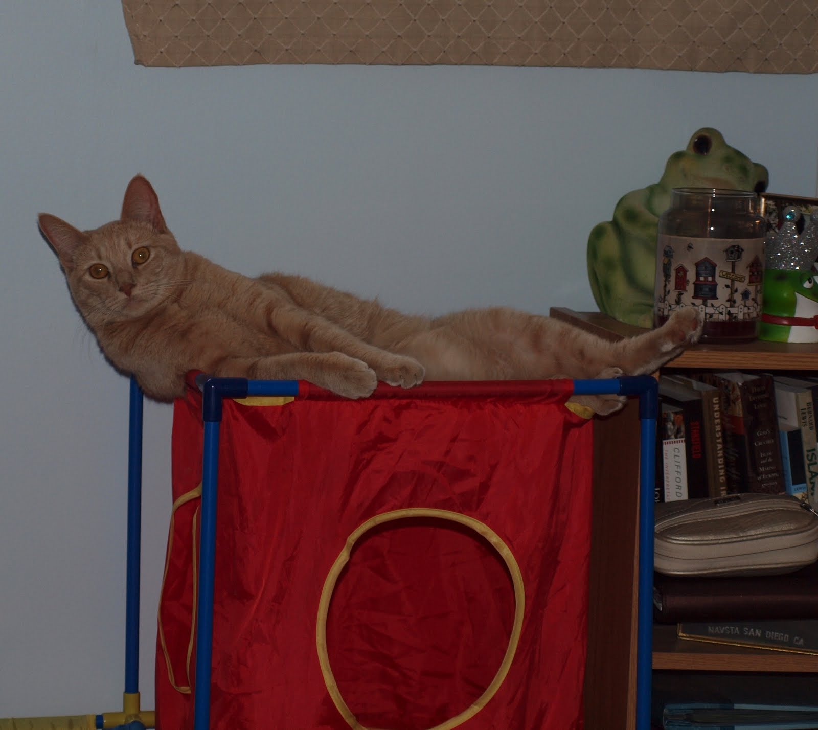 [P3182053.JPG]