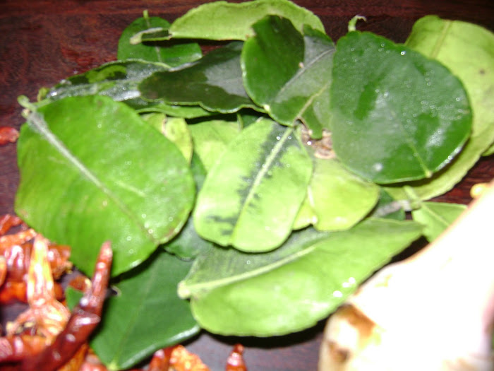 Citrus leaves - Bai Ma grood ใบมะกรูด