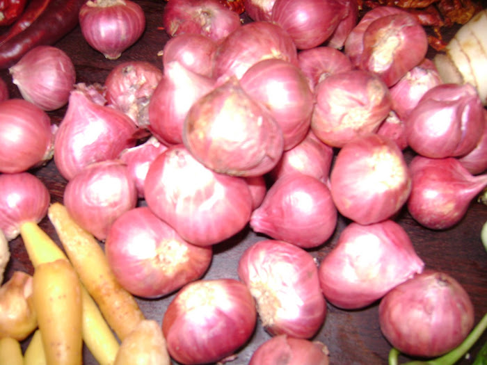 Hom Daeng-Thai red small onions