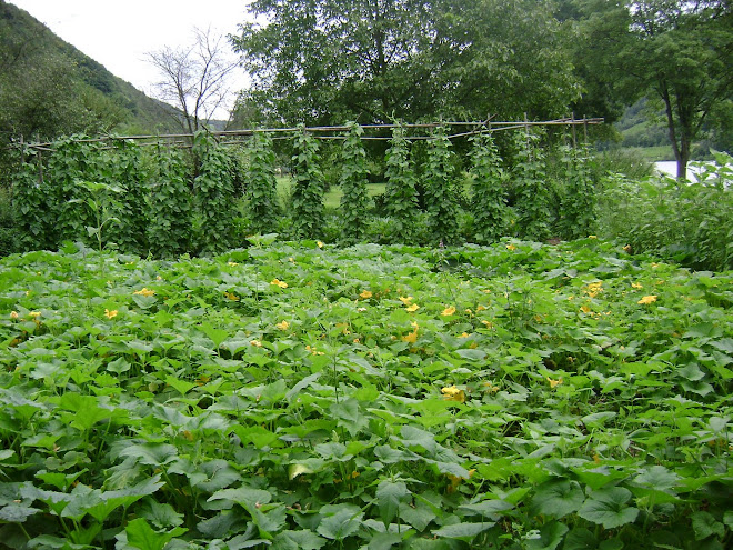 Germany garden beside the Vine Moutain