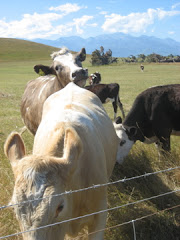 There may be no native animals,