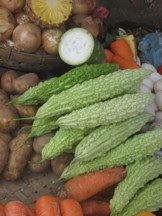 Warty cucumbers