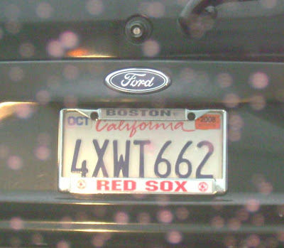 Boston Red Sox Fan