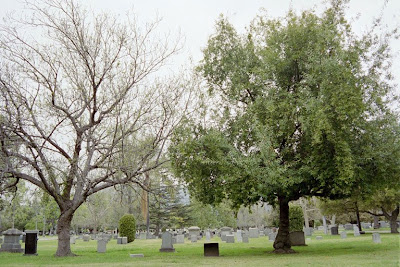 Mountain View Cemetery & Mausoleum - Altadena