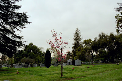 Mountain View Cemetery & Mausoleum - Altadena