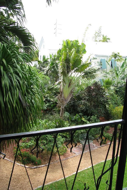 Looking down on Hemingway's back yard....