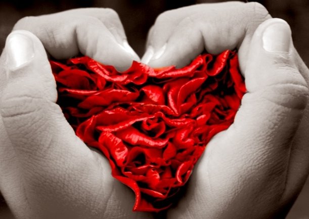 [corazón+de+pétalos.jpg]