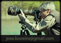 Contacto