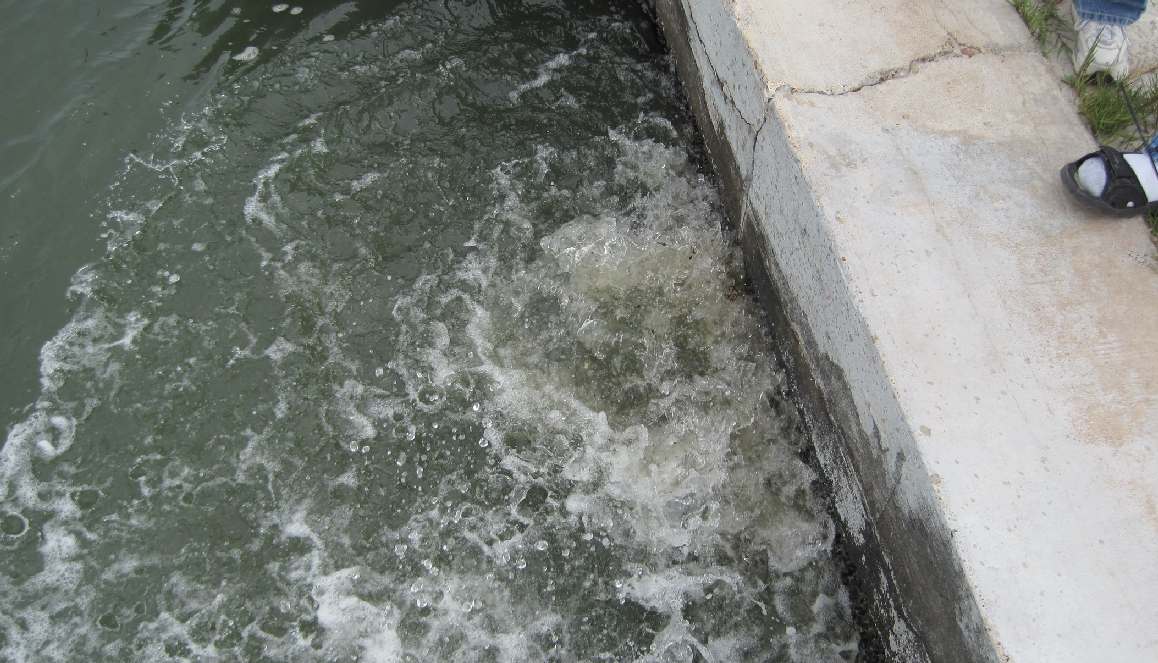Water Froth