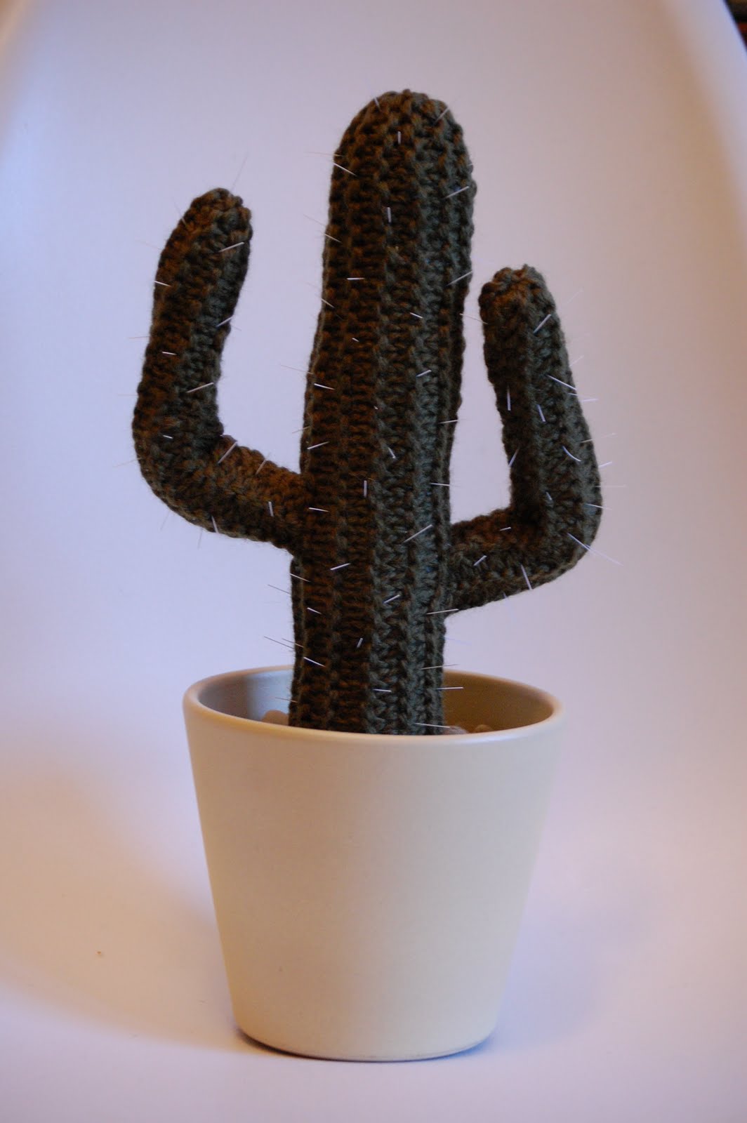 Cactus Potted