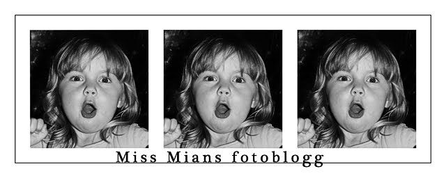 Miss Mians fotoblogg